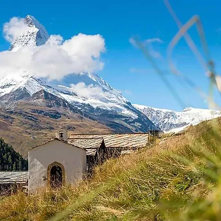 Butterfly Zermatt